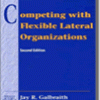 Competing With Flexible Lateral Organizations